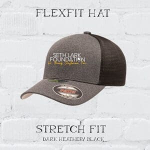 Flex Fit Hat